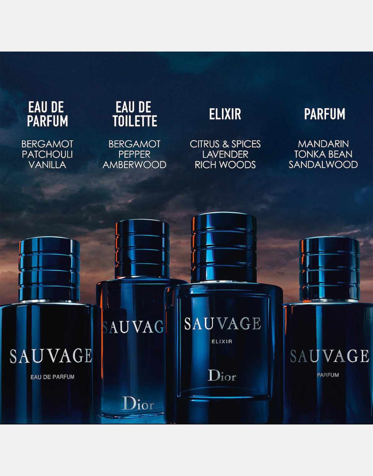 Dior Sauvage Eau De Parfum-Limited Edition 100 ML
