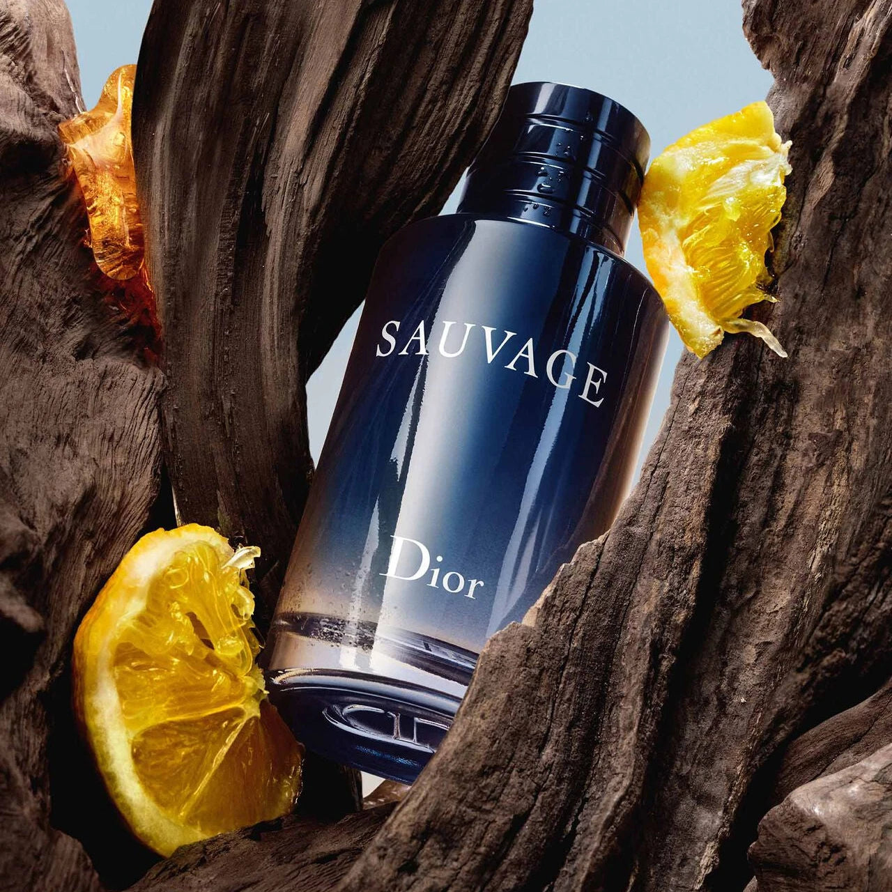 Dior Sauvage Eau De Parfum-Limited Edition 100 ML